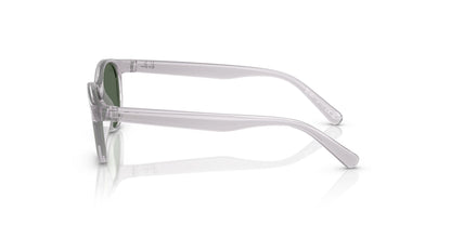 RJ9080S